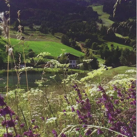 Lägenhet Seeappartements Ueberwasser Ladis